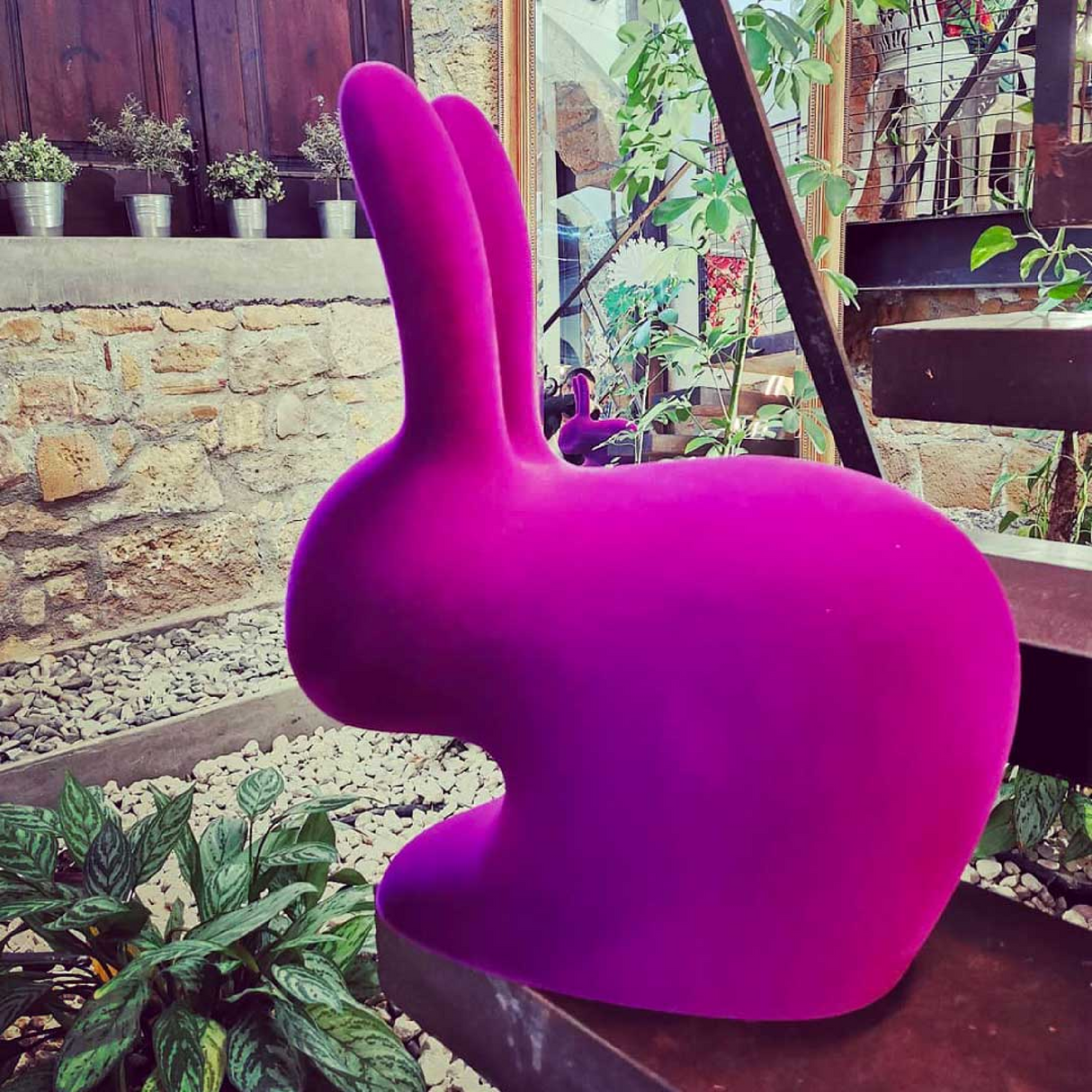   Velvet Bunny Accent Chair | Oroa.com