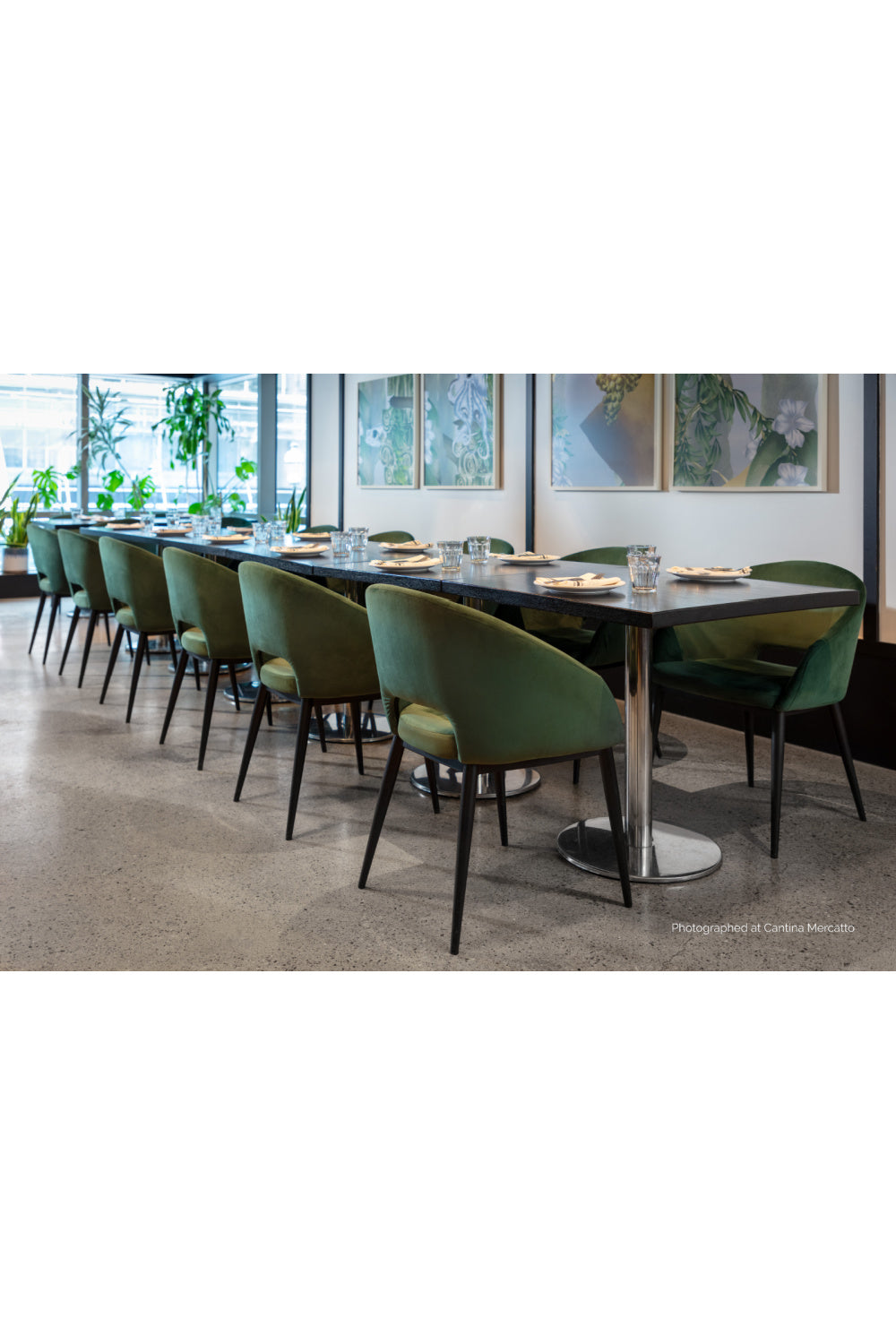   Modern European furniture - Cutout-Back Dining Amchair - www.oroa.com | Oroa.com