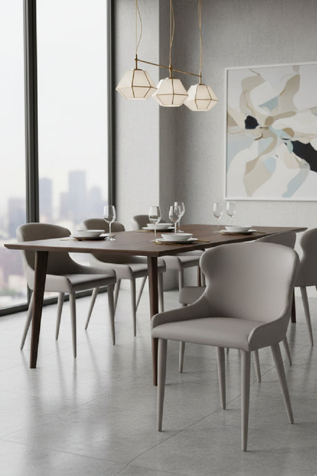   Modern European furniture - Taupe Leather Dining Chairs (2) - www.oroa.com | Oroa.com
