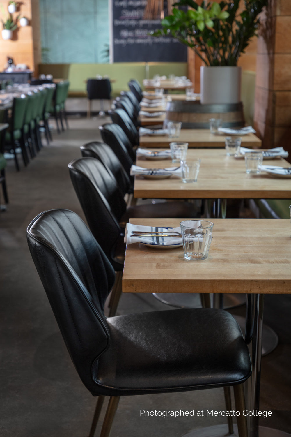   Modern European furniture - Channeled Leather Look Dining Chairs (2) - www.oroa.com | Oroa.com