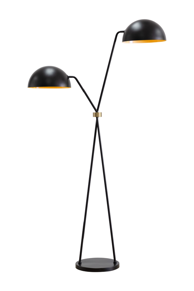 Modern European furniture - Black Dual-Domed Floor Lamp - www.oroa.com