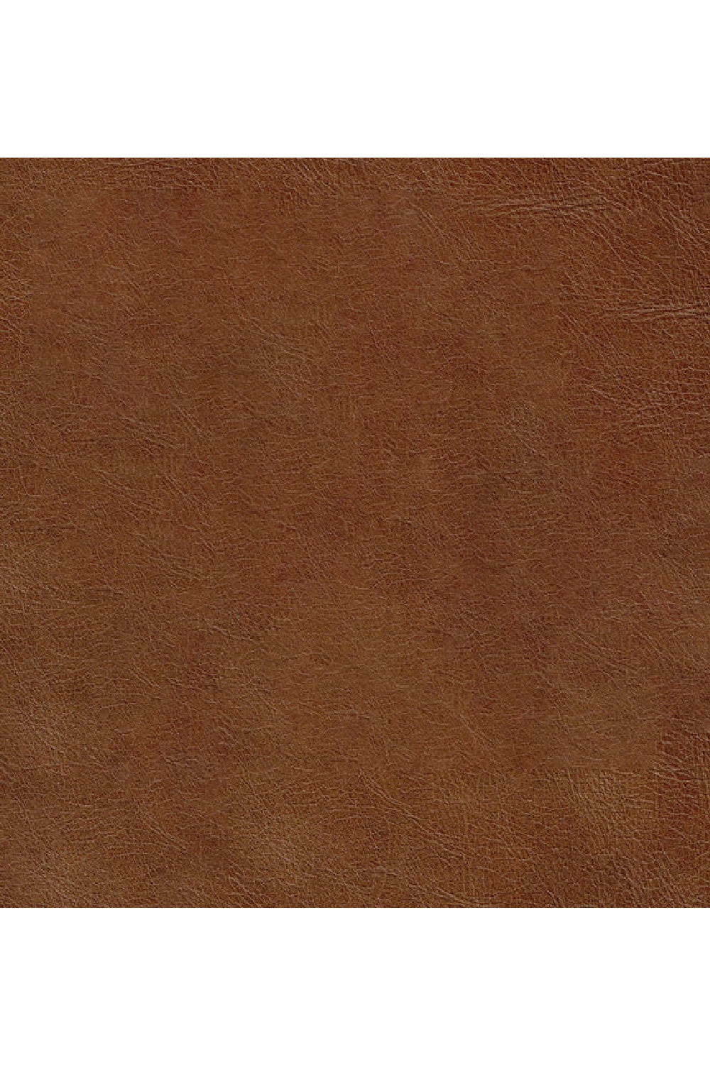   Modern European furniture - High-Back Leather Office Chair - www.oroa.com | Oroa.com