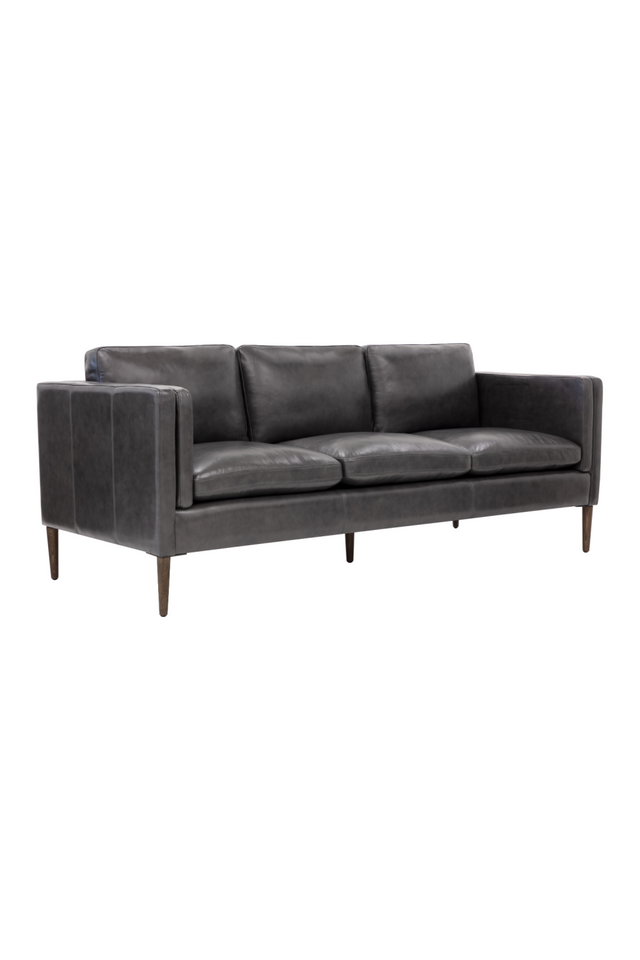 Modern European furniture - Black Leather Sofa - www.oroa.com