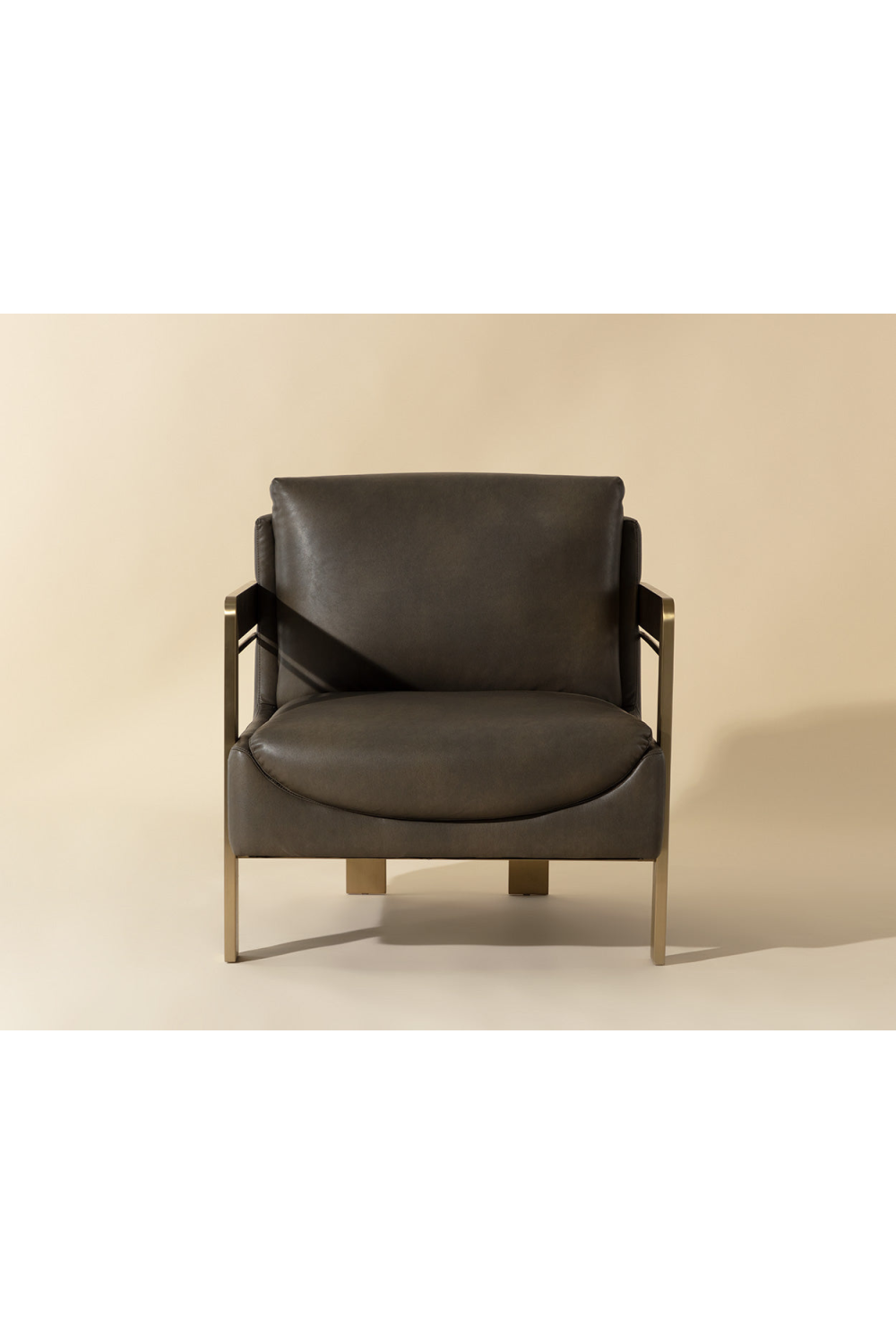  Modern European furniture - Taupe Leather Lounge Chair - www.oroa.com | Oroa.com