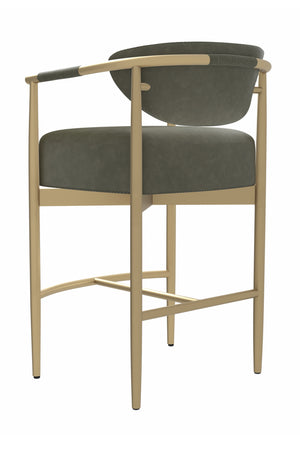   Modern European furniture - Gold Framed Leather-Look Bar Stool - www.oroa.com | Oroa.com