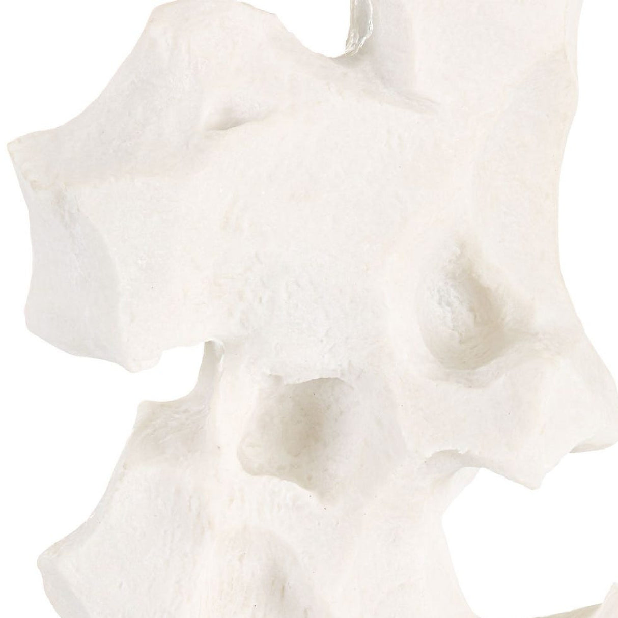   Organic-Shaped White Stone Table Lamp | Oroa.com