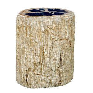   Modern European furniture - Petrified Wood Indoor/Outdoor Accent Table - www.oroa.com | Oroa.com
