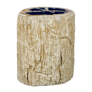   Modern European furniture - Petrified Wood Indoor/Outdoor Accent Table - www.oroa.com | Oroa.com