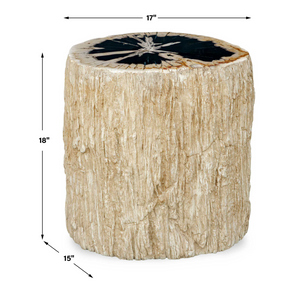   Modern European furniture - Petrified Wood Indoor/Outdoor Accent Table - www.oroa.com | Oroa.com
