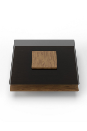   Glass & Wood Coffee Table | Oroa.com