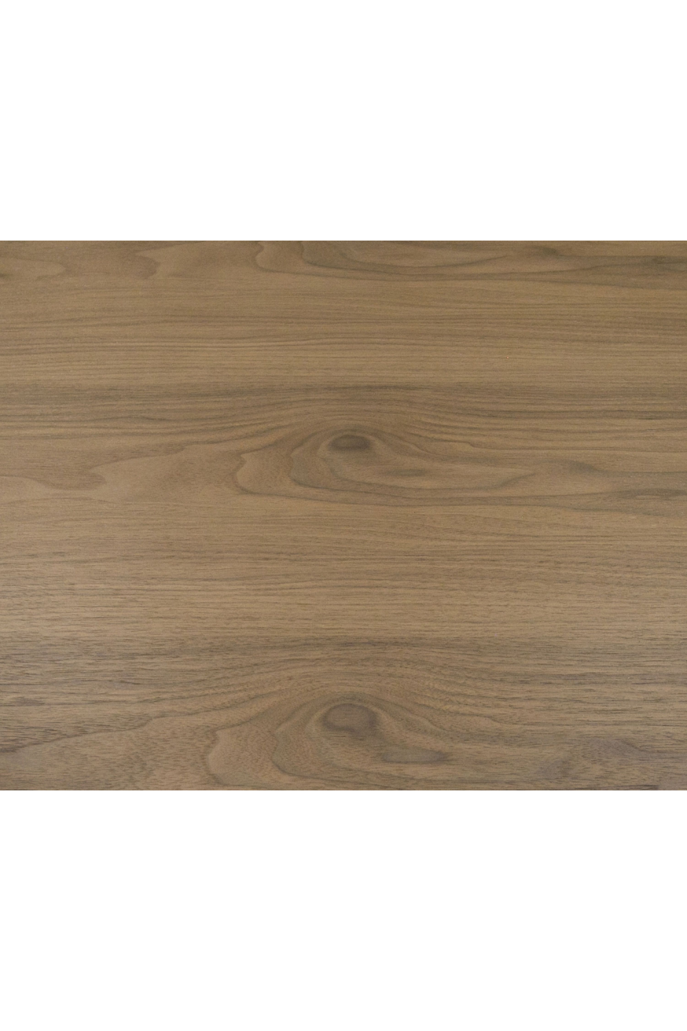   Walnut Veneer 2-Drawer Coffee Table | Oroa.com