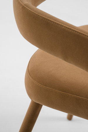   Fabric Upholstered Dining Chair | Oroa.com
