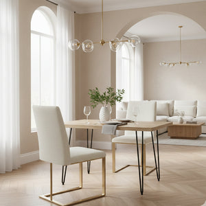   Cantilevered Minimalist Dining Chair | Oroa.com