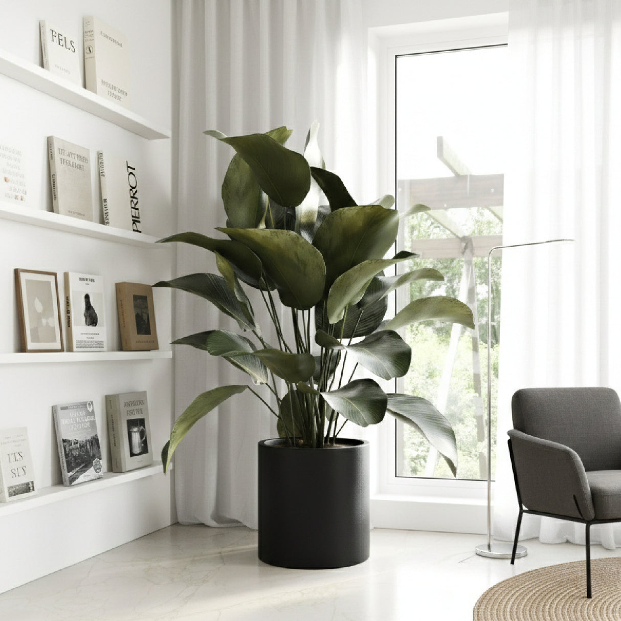   Black Concrete Planter | Oroa.com