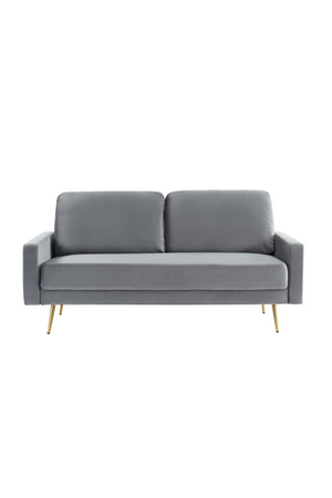   Gray Velvet 2-Seater Sofa | Oroa.com
