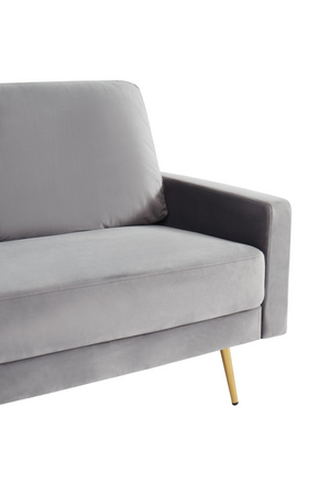  Gray Velvet 2-Seater Sofa | Oroa.com