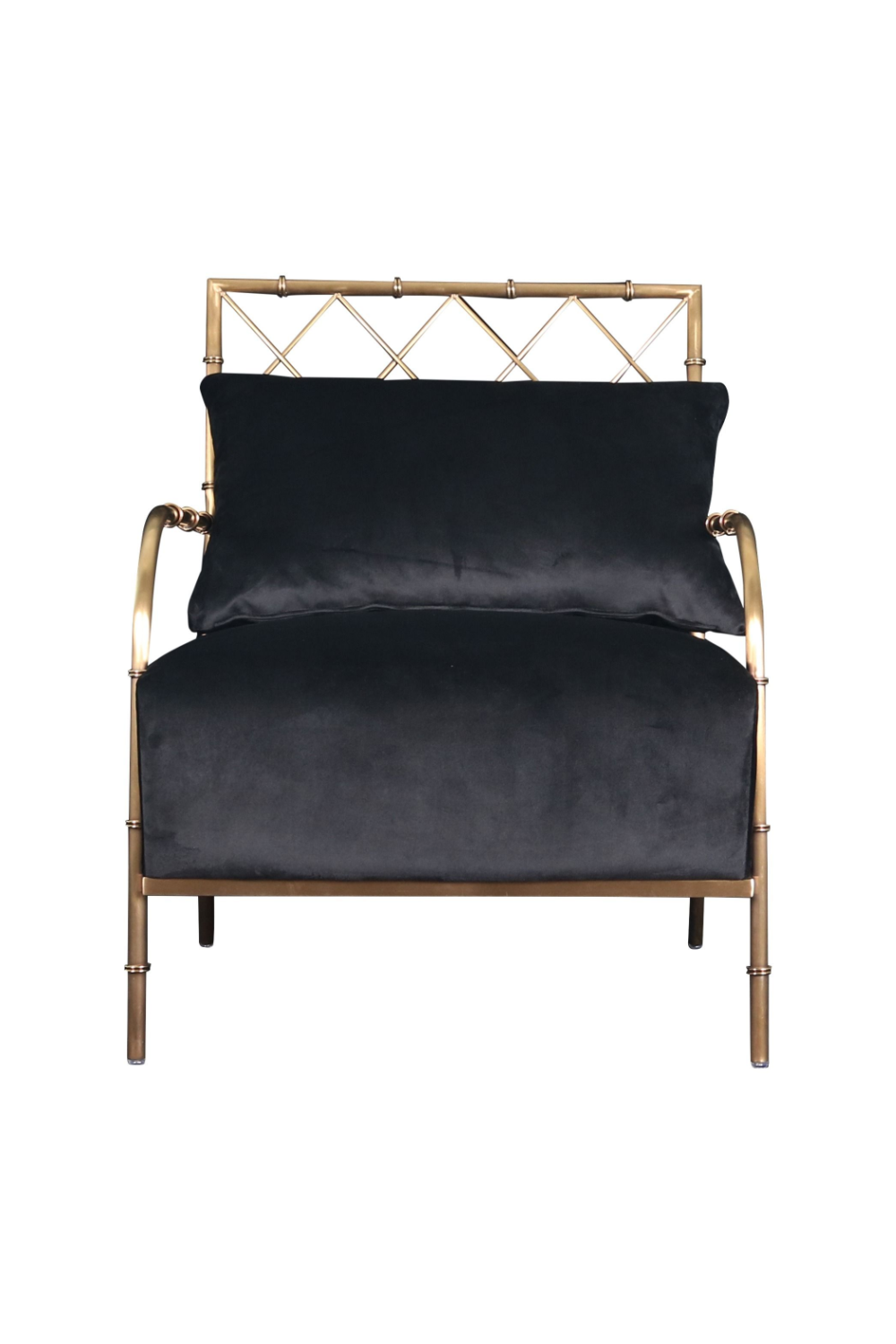   Velvet Padded Accent Chair | Oroa.com