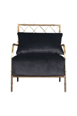   Velvet Padded Accent Chair | Oroa.com