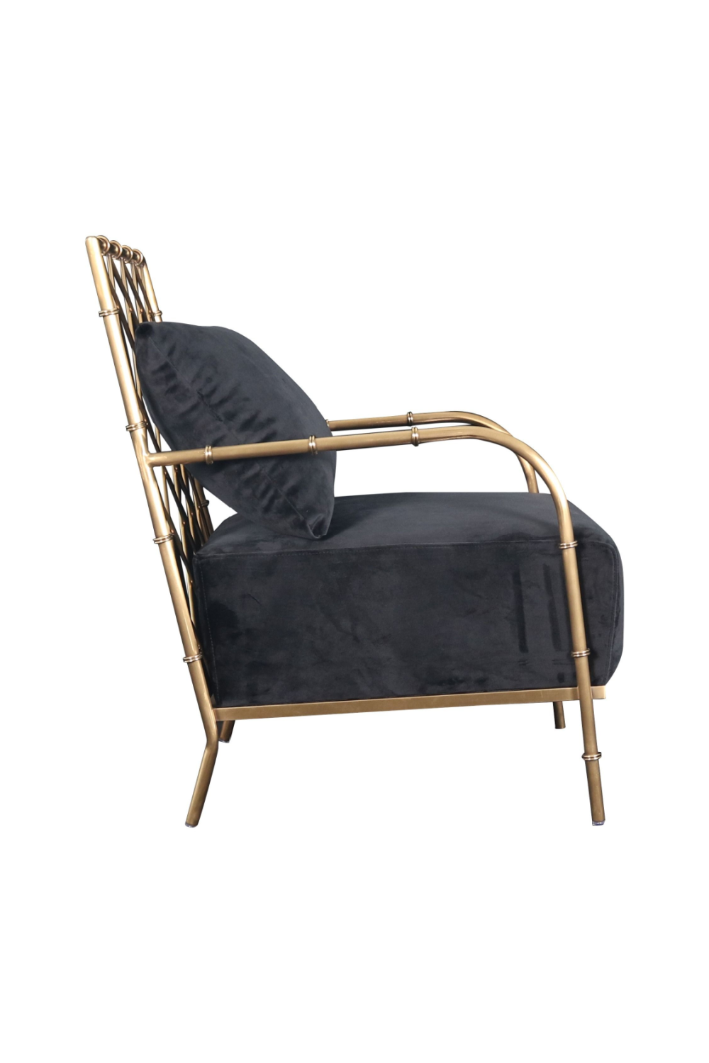   Velvet Padded Accent Chair | Oroa.com