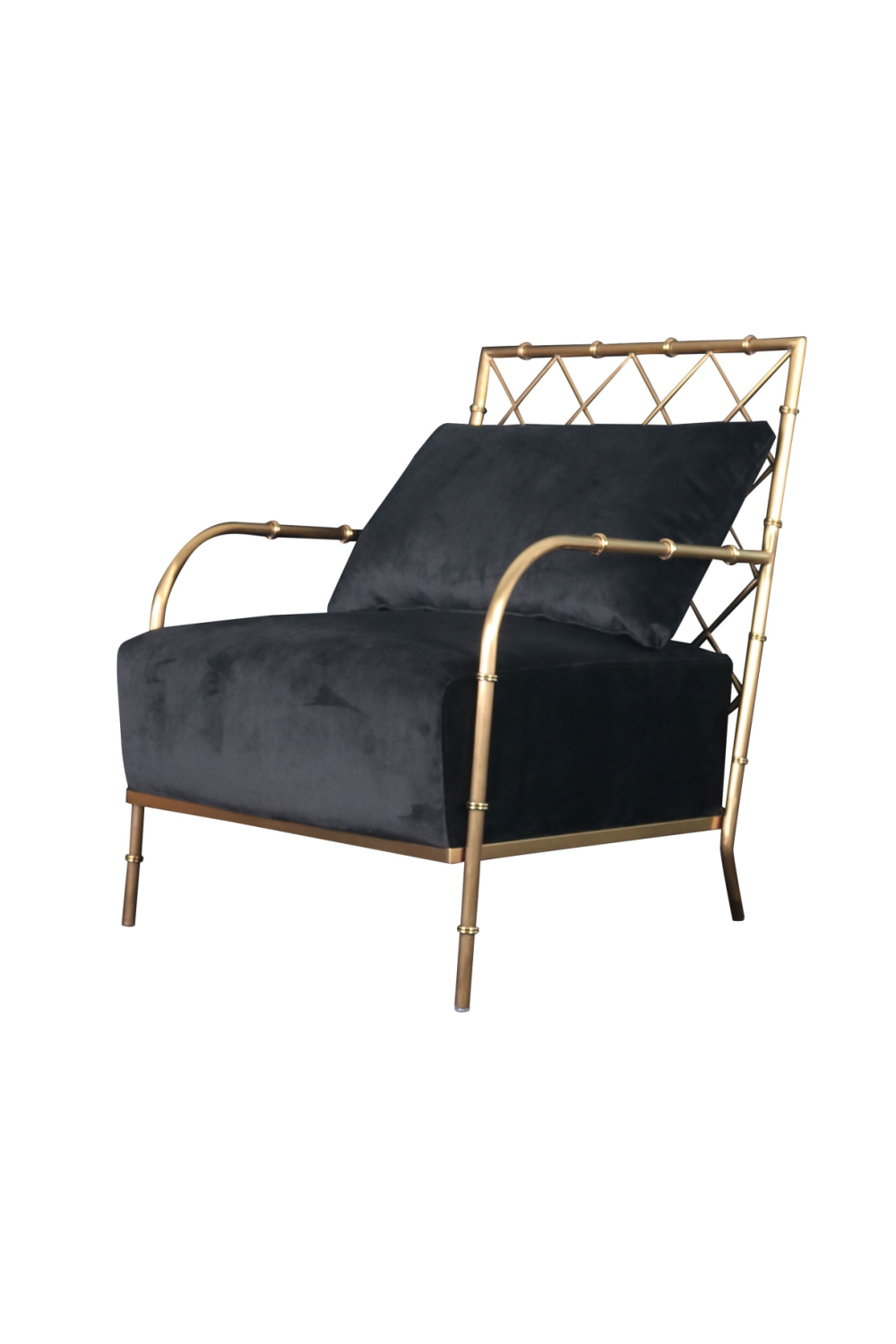  Velvet Padded Accent Chair | Oroa.com