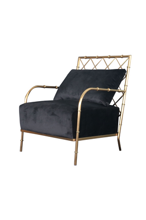   Velvet Padded Accent Chair | Oroa.com