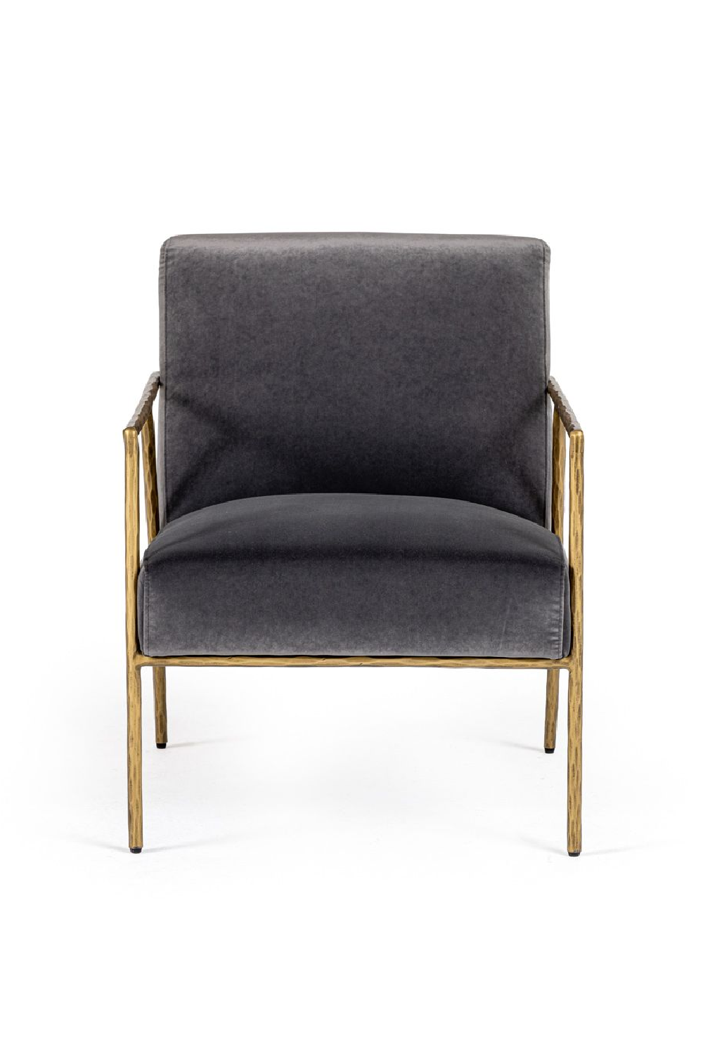   Gold-Framed Gray Velvet Accent Chair | Oroa.com