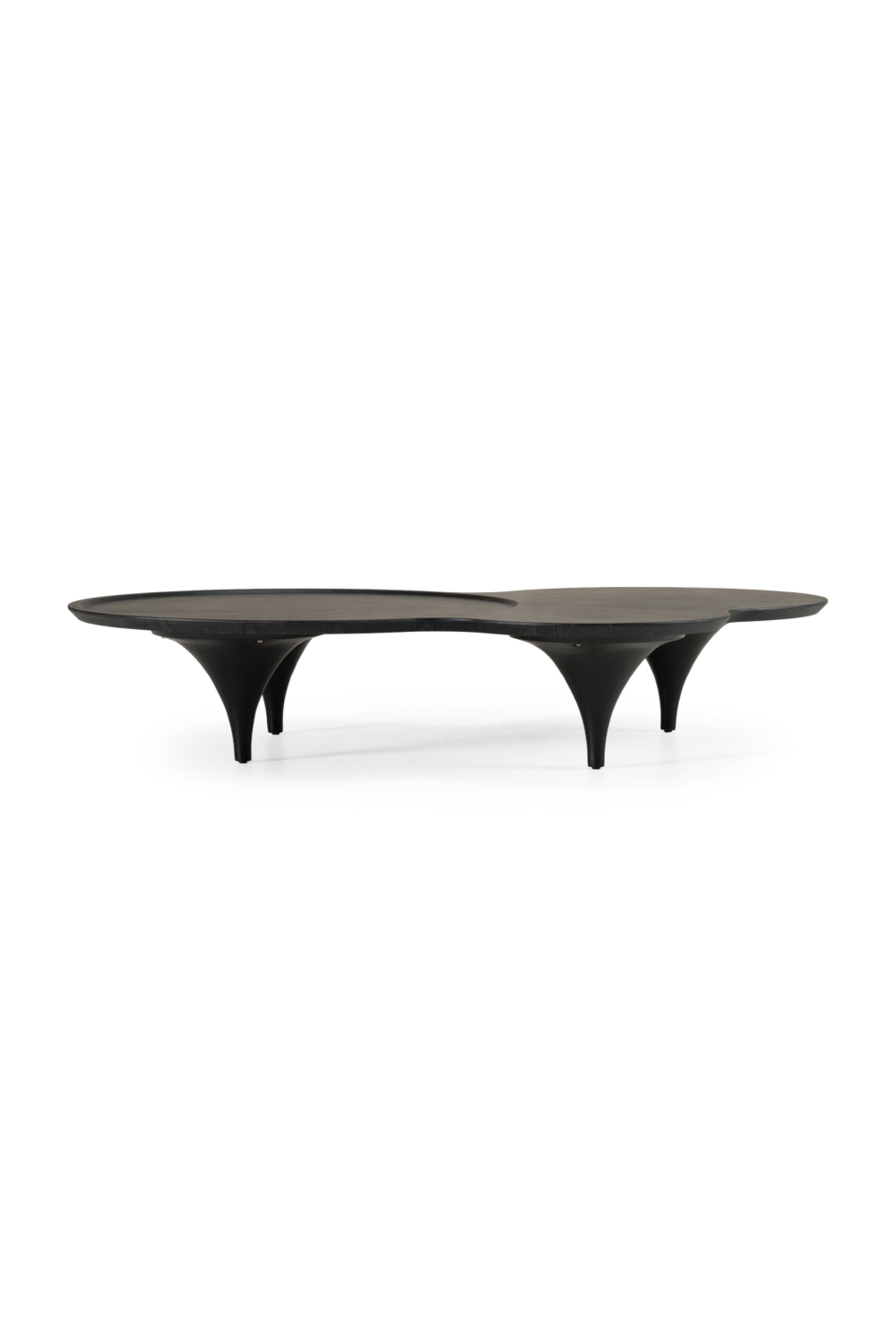   Free-Form Black Ash Coffee Table | Oroa.com