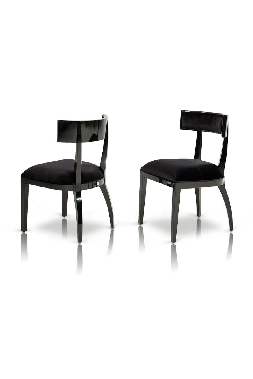   Black Dining Chair Set (2) | Oroa.com