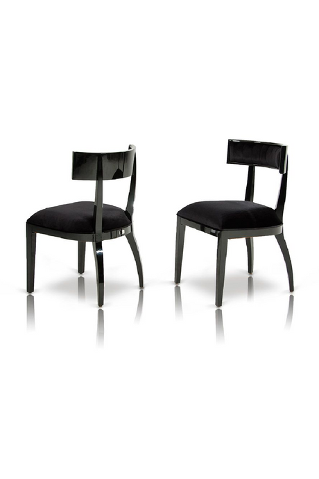   Black Dining Chair Set (2) | Oroa.com