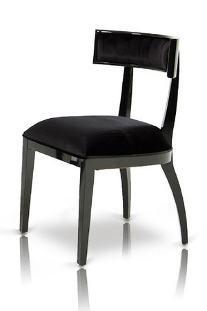   Black Dining Chair Set (2) | Oroa.com