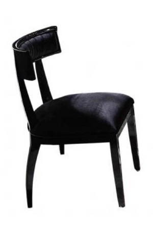   Black Dining Chair Set (2) | Oroa.com