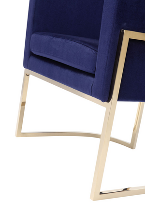   Blue Velvet Kids Chair | Oroa.com