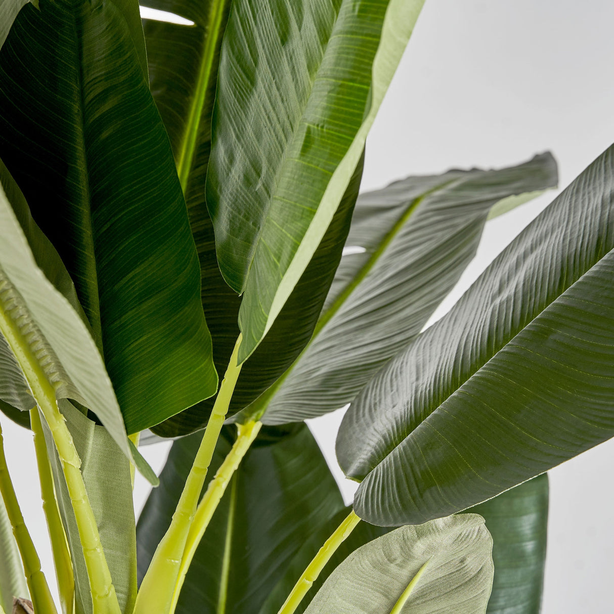   Green Leaf Potted Faux Plant | Oroa.com