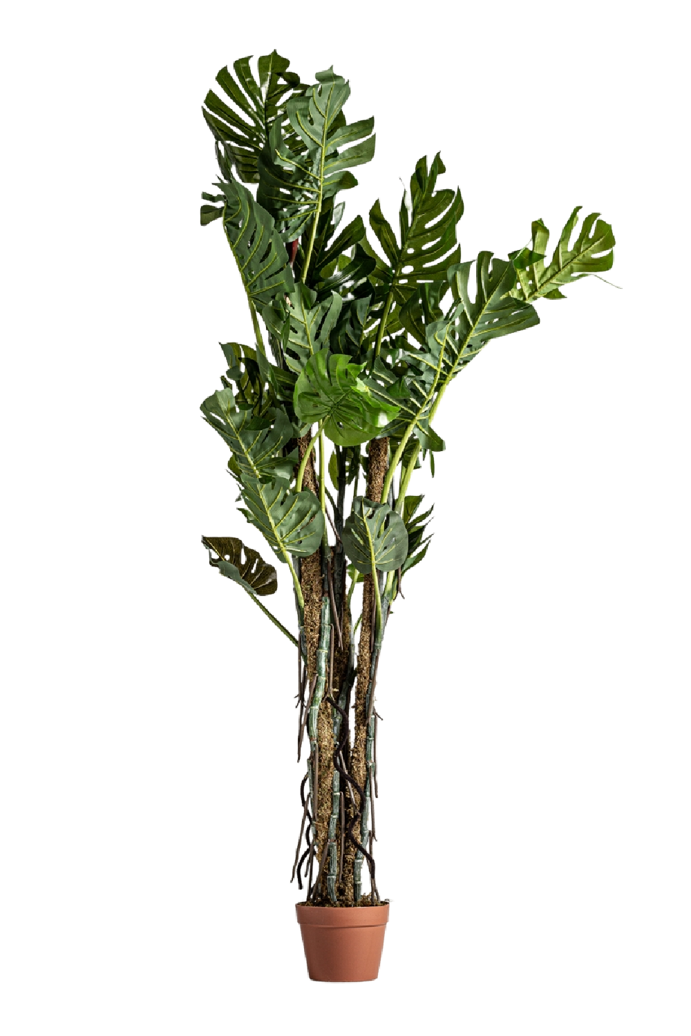   Green Artificial Plant | Oroa.com