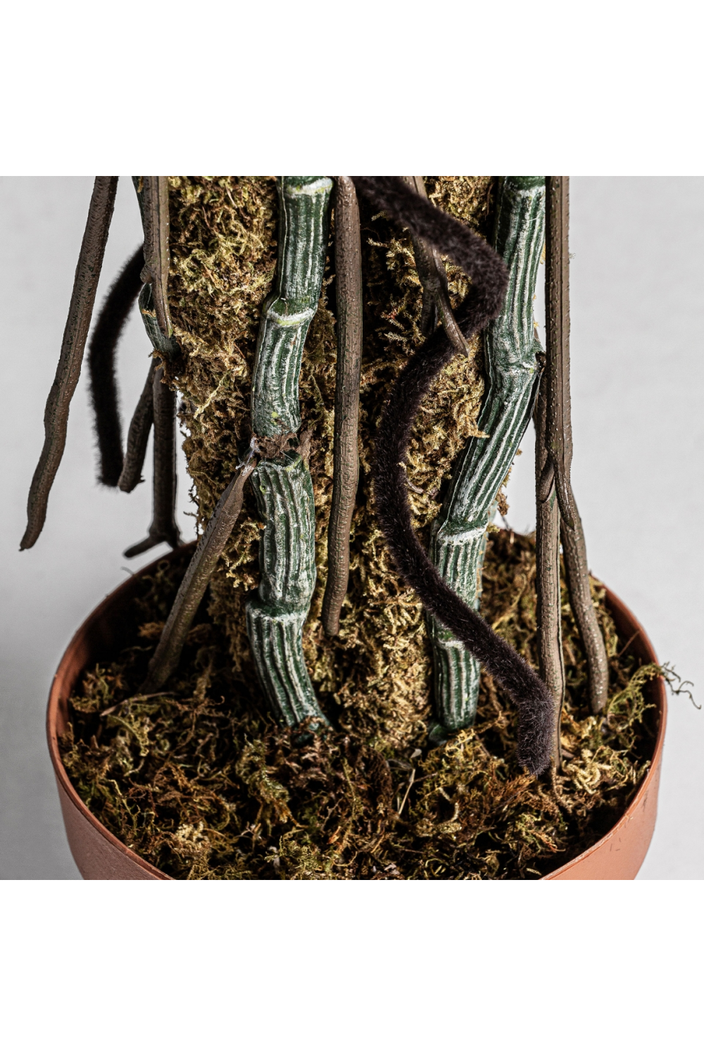   Green Artificial Plant | Oroa.com