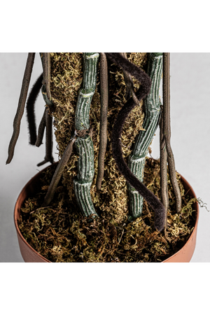   Green Artificial Plant | Oroa.com