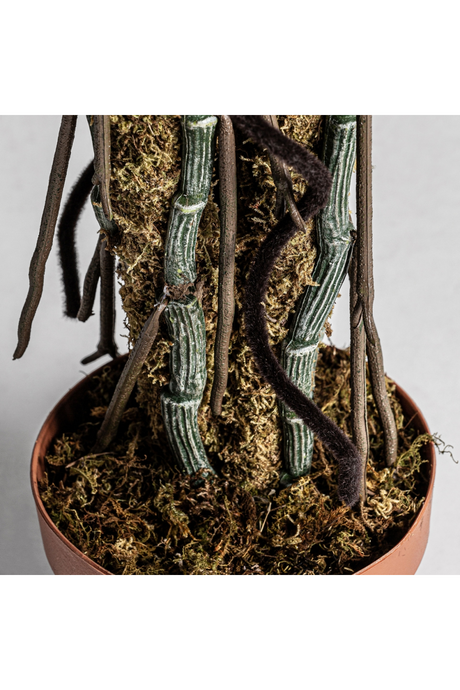   Green Artificial Plant | Oroa.com