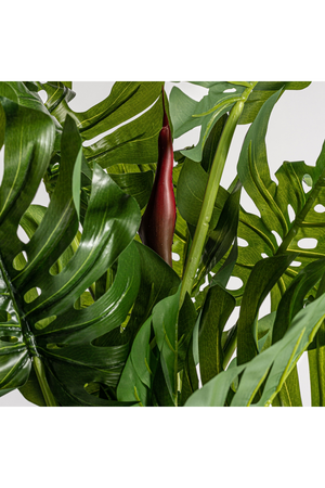   Green Artificial Plant | Oroa.com