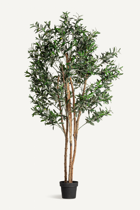   Green Olive Artificial Plant | Oroa.com