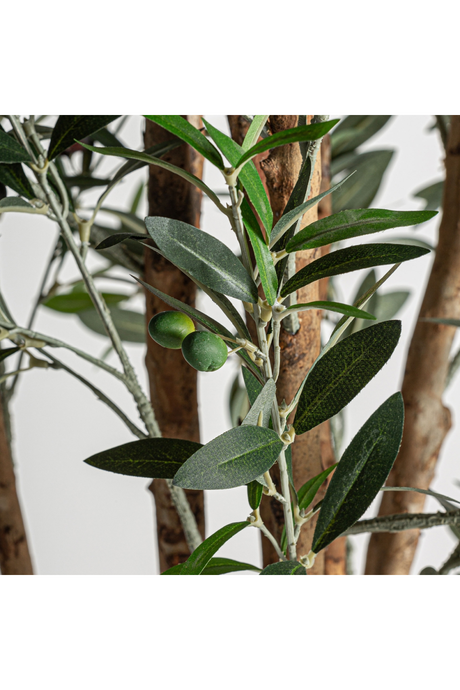   Green Olive Artificial Plant | Oroa.com