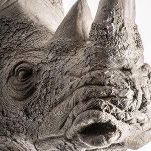   Gray Animal Bust Sculpture | Oroa.com