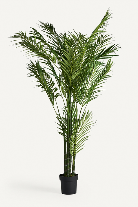   Artificial Green Palmera Plant | Oroa.com