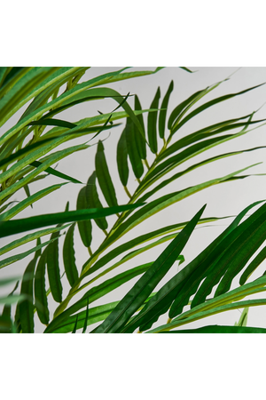   Artificial Green Palmera Plant | Oroa.com
