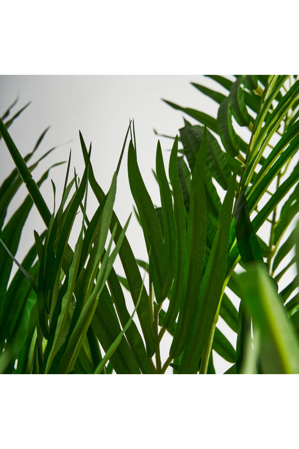   Artificial Green Palmera Plant | Oroa.com