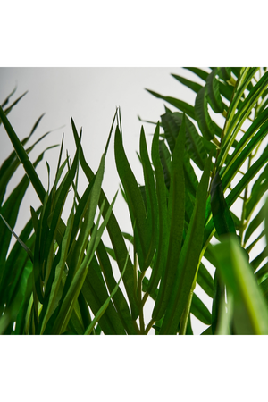   Artificial Green Palmera Plant | Oroa.com