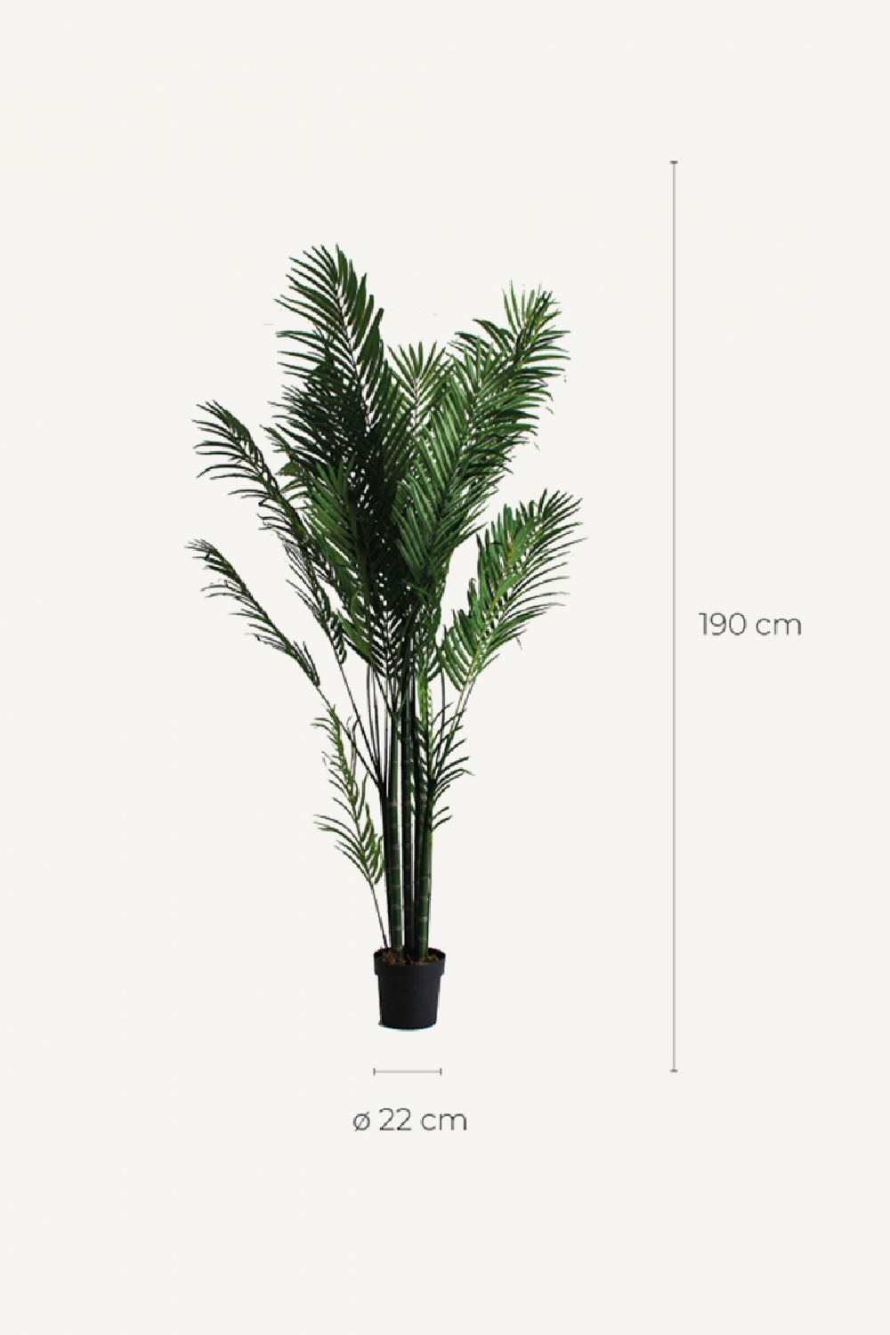   Artificial Green Palmera Plant | Oroa.com