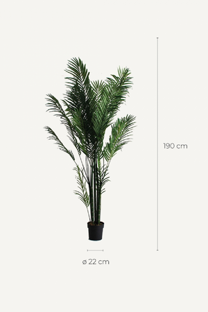   Artificial Green Palmera Plant | Oroa.com
