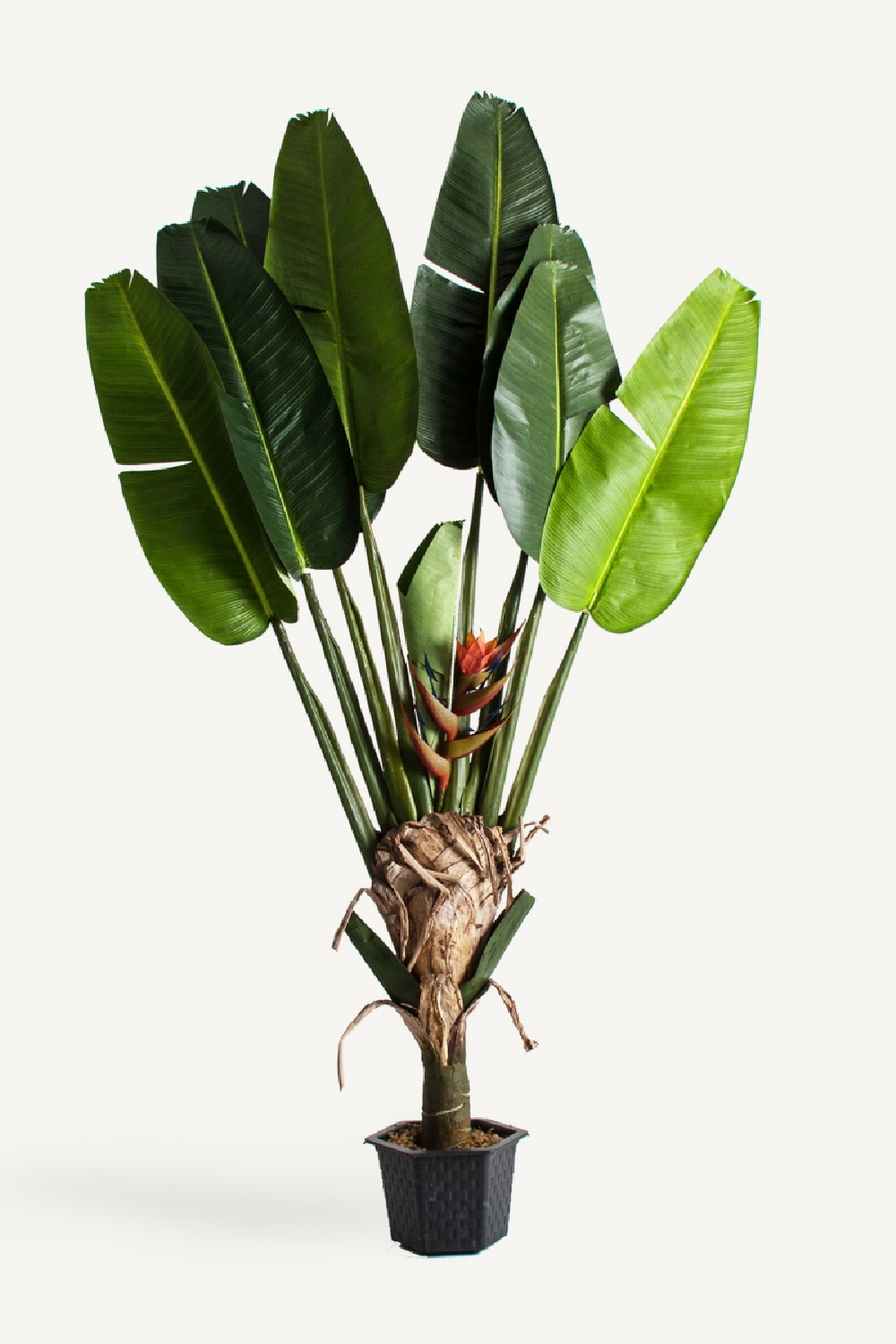   Artificial Bird of Paradise Plant | Oroa.com