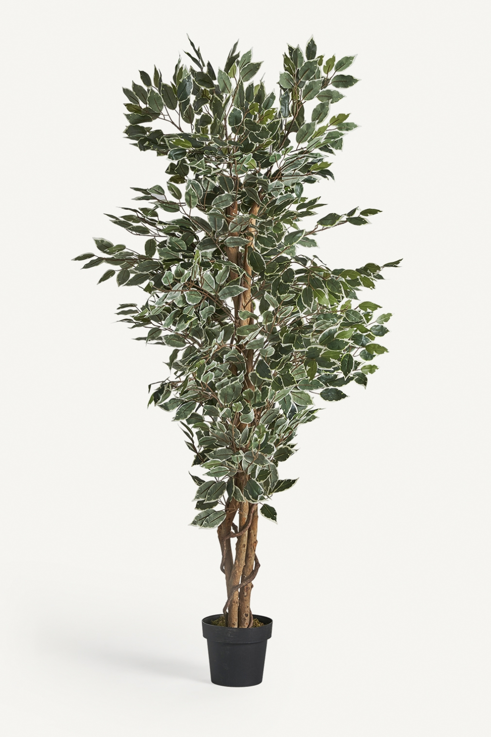   Artificial Leafy Tropical Plant | Oroa.com