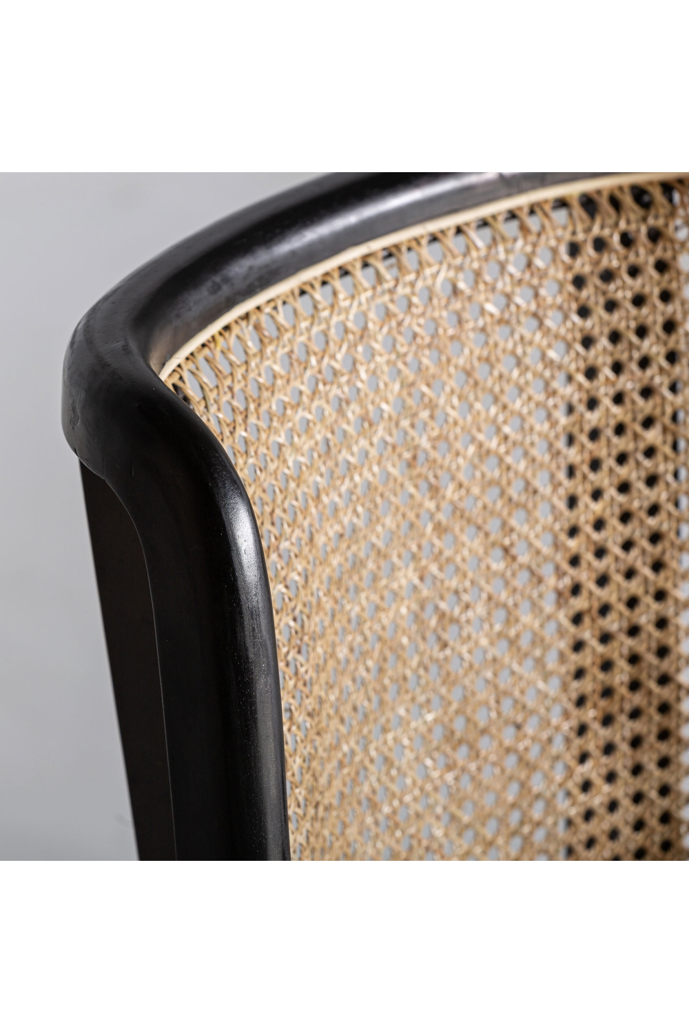   Velvet Seat Rattan Dining Chair | Oroa.com